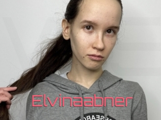 Elvinaabner