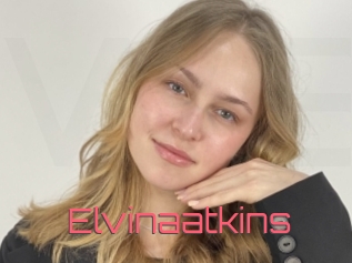Elvinaatkins