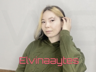 Elvinaaytes