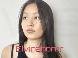 Elvinaborer