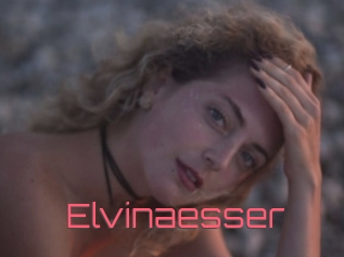 Elvinaesser