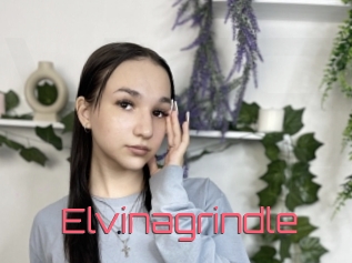 Elvinagrindle