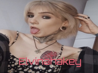 Elvinahakey