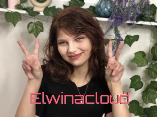 Elwinacloud