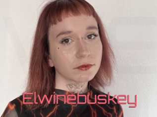 Elwinebuskey