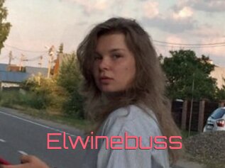 Elwinebuss