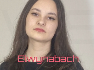 Elwynabach