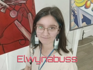 Elwynabuss
