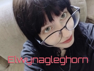 Elwynagleghorn