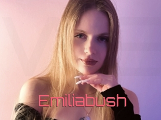 Emiliabush