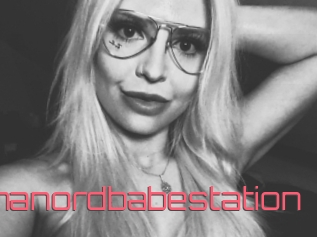 Emmanordbabestation