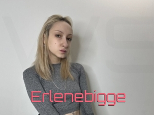 Erlenebigge