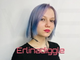 Erlinadiggle