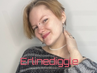 Erlinediggle
