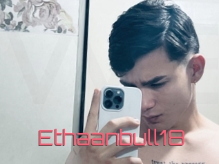 Ethaanbull18