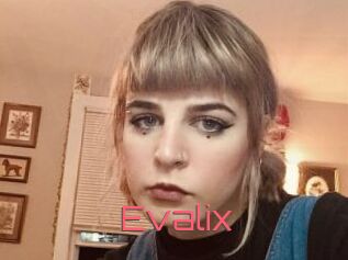 Evalix