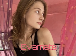Evamate