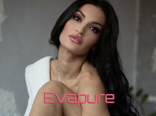 Evapure