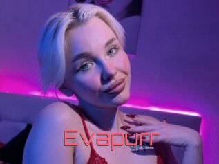 Evapurr