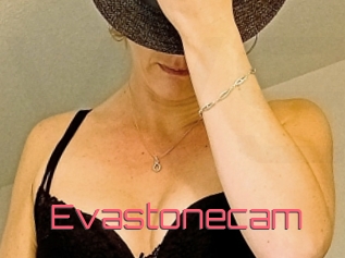 Evastonecam