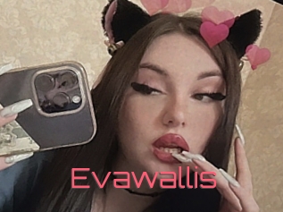 Evawallis