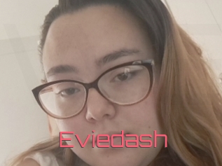 Eviedash