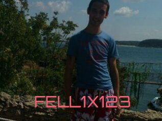 FELL1X123
