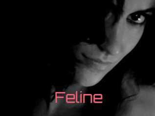 Feline