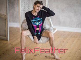 FelixFeather