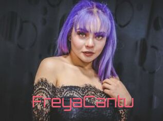 FreyaCantu