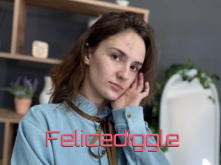 Felicediggle