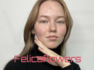 Feliceflowers