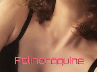 Felinecoquine