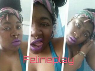 Felineplay