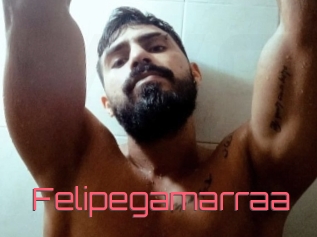 Felipegamarraa