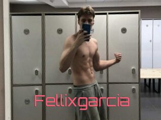 Fellixgarcia