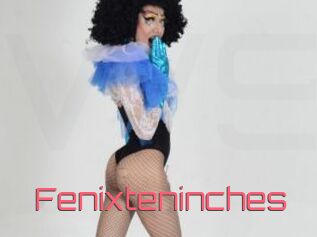 Fenixteninches
