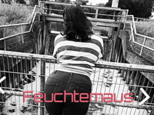 Feuchtemaus