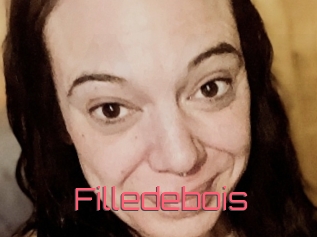 Filledebois