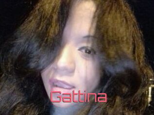 Gattina