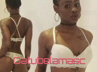 Gatubela_masc