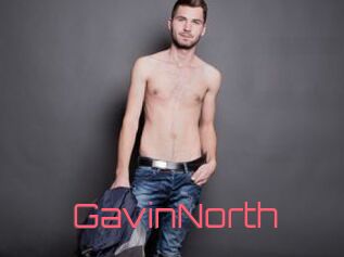 GavinNorth