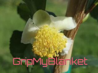 GripMyBlanket