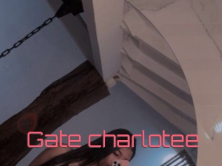 Gate_charlotee
