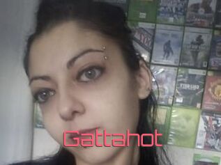 Gattahot