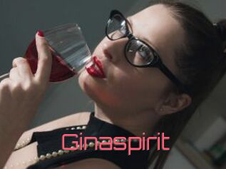 Ginaspirit