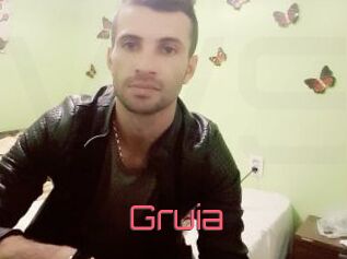 Gruia
