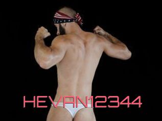 HEVAN12344