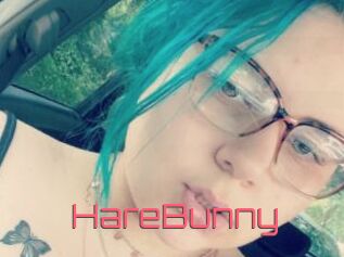 HareBunny