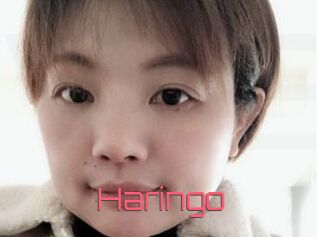 Haringo